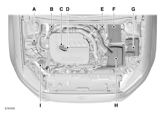Motorraum - Übersicht - 1.5L EcoBoost
