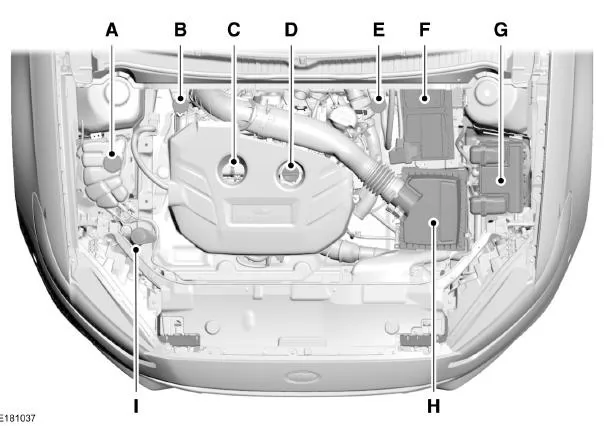 Motorraum - Übersicht - 2.0L EcoBoost