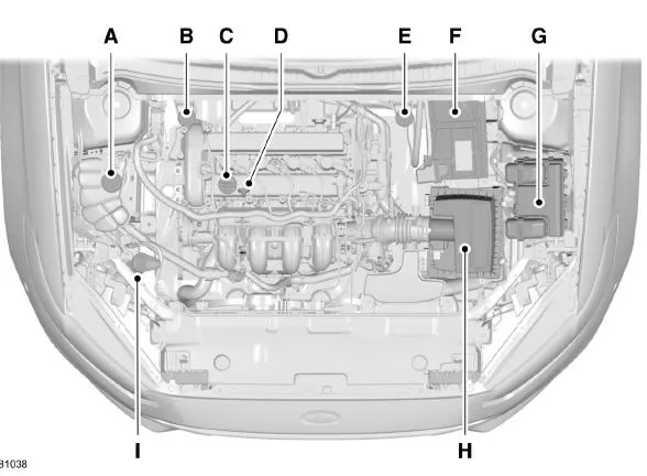 Motorraum - Übersicht - 2.5L