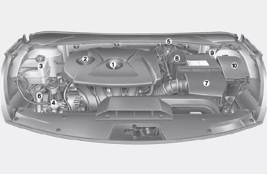 Benzinmotor (2,0L)