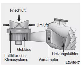 Luftfilter des Klimasystems (ausstattungsabhängig)
