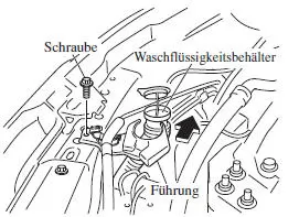 Rechte Seite