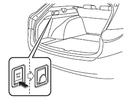 Einkaufstaschenhaken (Kombi)