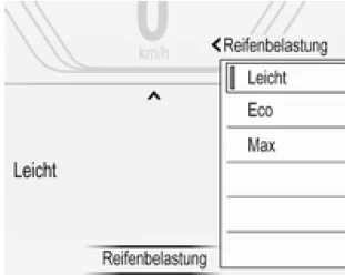 Beladungszustand des Fahrzeugs