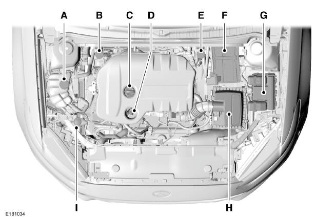 Motorraum - Übersicht - 1.5L Duratorq-TDCi Diesel/1.6L Diesel