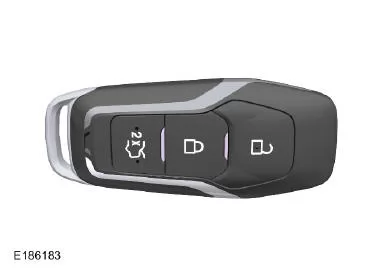 Intelligent Access-Schlüssel (falls vorhanden)