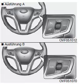 Schalter Geschwindigkeitsregelung