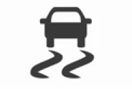 Elektronische Stabilitätsregelung